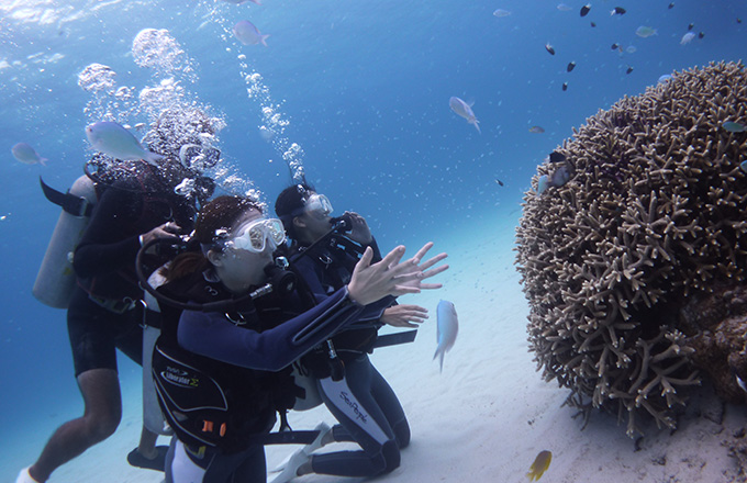 体験ダイビング