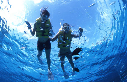 スノーケリングツアー（ガイド付）