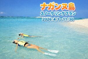 2026年4月～11月 ナガンヌスノーケリングプラン